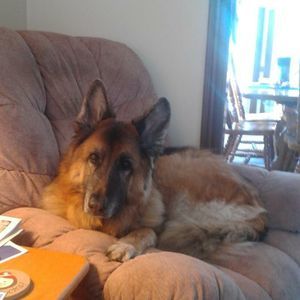 Meet your Posher, Patricia